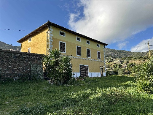 immagine annuncio 12 di 14