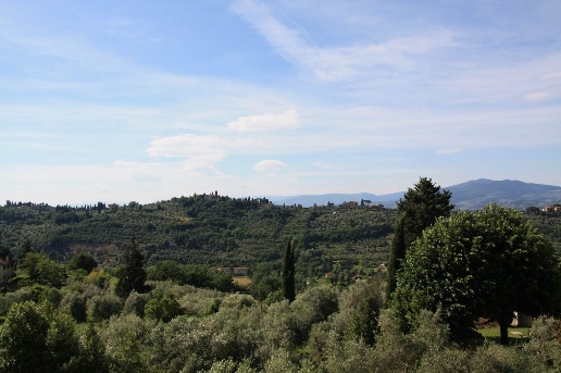 appartamento in affitto a Bagno a Ripoli in zona Grassina