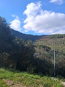 Foto Casa indipendente a Buti Centro di 220 m² con 8 locali in vendita