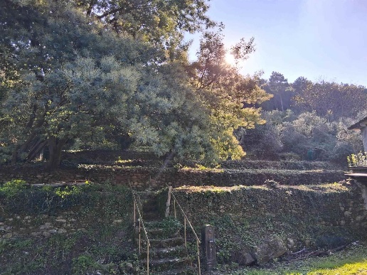 immagine annuncio 6 di 8