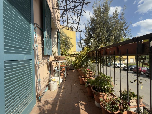 immagine annuncio 4 di 14