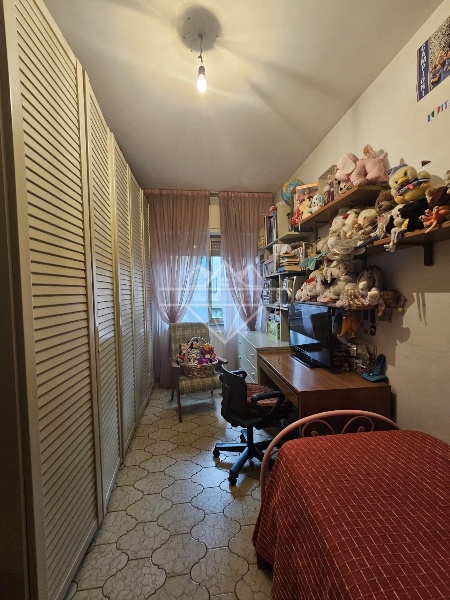 immagine annuncio 9 di 13