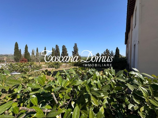 casa indipendente in vendita ad Asciano