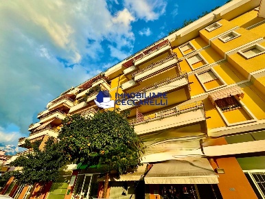 Foto Appartamento a Massa Centro di 100 m² con 4 locali in vendita