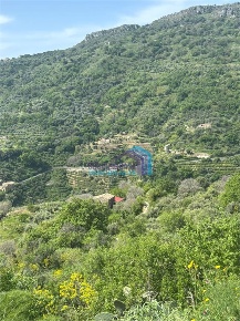 Foto Terreno edificabile a Fiumedinisi di 8000 m² in vendita