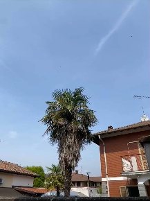 Foto Villa unifamiliare a Nibbiola di 130 m² con 3 locali in vendita
