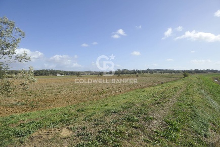 Foto Terreno agricolo in Località Comune, Lucignano di 6000 m² in vendita