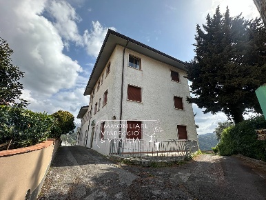 Foto Hotel in via delle Sezioni, Massarosa Bargecchia, Corsanico di 700 m²