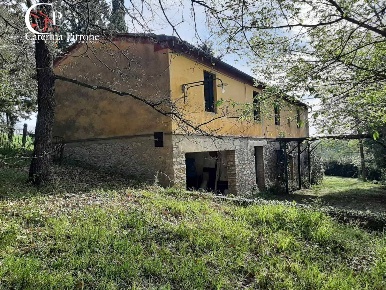 Foto Rustico in via Fontevecchia snc, Montescudaio di 864 m² con 4 locali