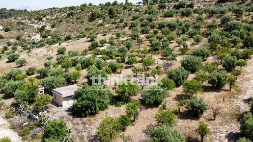 Foto Terreno agricolo in SS 115 Sud occidentale Sicula, Noto di 35000 m²