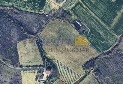 Foto Terreno agricolo in Via San Tomaso 600, Cesena Saiano - San Tomaso