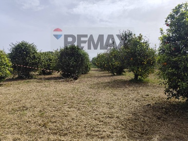 Foto Terreno agricolo in traversa ponte di pietra, Siracusa Tivoli
