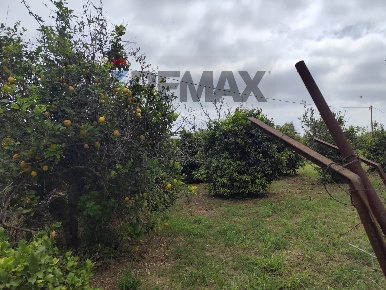Foto Terreno agricolo in traversa ponte di pietra, Siracusa Tivoli