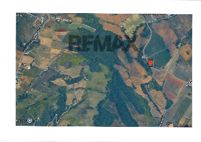 Foto Terreno agricolo in Via Follonica, San Paolo di Jesi in vendita