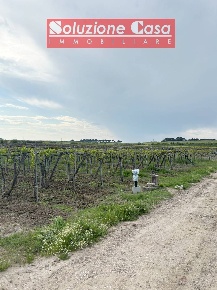 Foto Terreno agricolo a Cerignola di 23900 m² in vendita