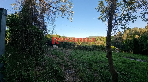 Foto Terreno agricolo a Livorno Porta a Terra - Padula di 2355 m²