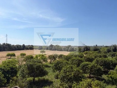 Foto Terreno agricolo in Strada Tremmilia, Siracusa Belvedere - Tremmilia