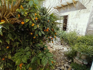 Foto Appartamento a Licata Centro di 100 m² con 4 locali in vendita
