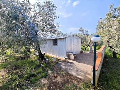 Foto Struttura sanitaria a Cecina Cecina Centro di 25 m² con 1 locali
