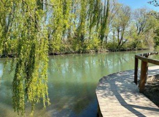 immagine annuncio 1 di 4