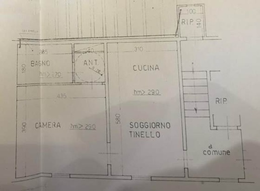 immagine annuncio 3 di 10