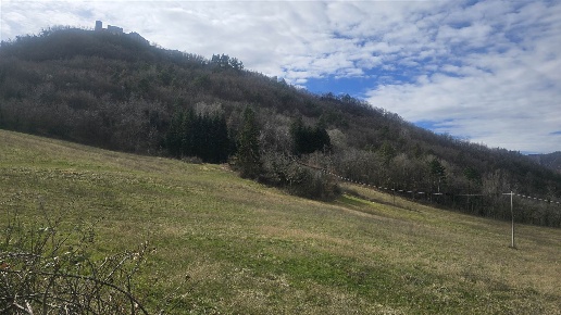 immagine annuncio 2 di 6