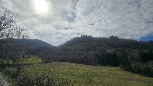 immagine annuncio 3 di 6