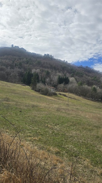 immagine annuncio 4 di 6