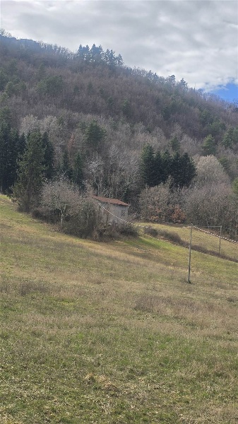 immagine annuncio 5 di 6