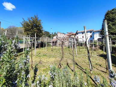 Foto Rustico in Via Trento e Trieste 2, Zermeghedo di 348 m² con 10 locali