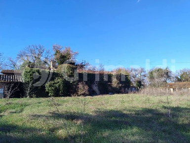 Foto Rustico in LocalitÃ  Campagna 1, Torgiano di 200 m² con 8 locali