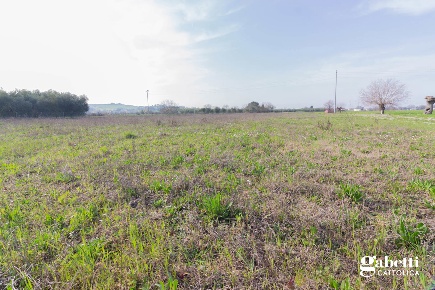 Foto Terreno agricolo in Gambadoro, San Giovanni in Marignano di 6981 m²