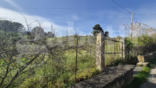 Foto Terreno agricolo in Contrada Accia snc, Santa Flavia di 8300 m²