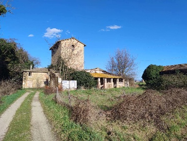 Foto Rustico in LocalitÃ  Campagna 1, Torgiano di 244 m² con 9 locali
