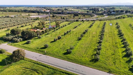 Foto Terreno agricolo a Piombino di 50212 m² in vendita