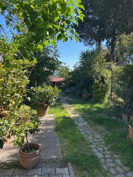 immagine annuncio 3 di 14