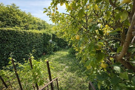 Foto Villa a schiera a Calci Centro di 190 m² con 9 locali in vendita