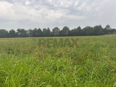 Foto Terreno agricolo in STRADA PROVINCIALE FRANCESCA, Cologno al Serio