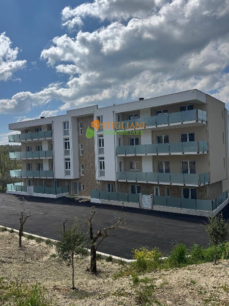 immagine annuncio 6 di 9