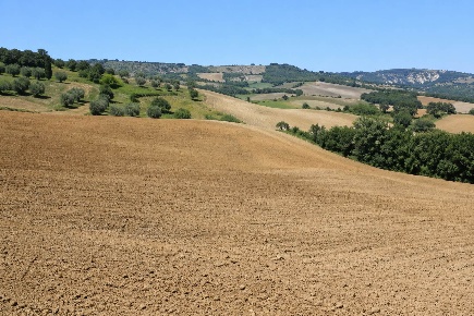 Foto Terreno agricolo a San Cipriano Picentino Pezzano Filetta di 20800 m²