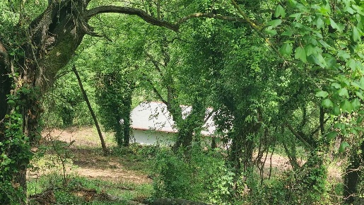 Foto Rustico in via fontanelle, Montopoli di Sabina di 50 m² con 1 locali