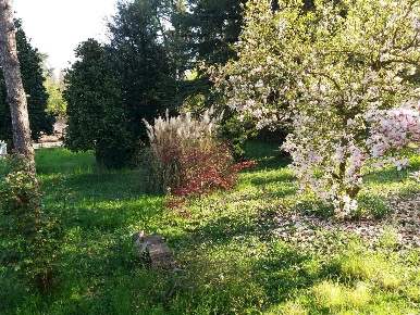 Foto Villa unifamiliare in via quattro madonne, Castelnuovo Rangone