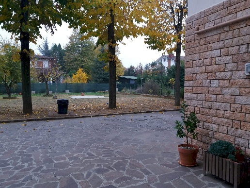 immagine annuncio 2 di 14