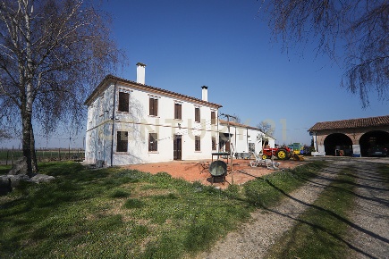 Foto Casale in Via Trento 70, Minerbe Centro di 900 m² con 12 locali