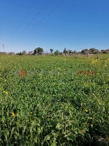 Foto Terreno agricolo in Via Gallina Via Aretina 15, Reggio di Calabria