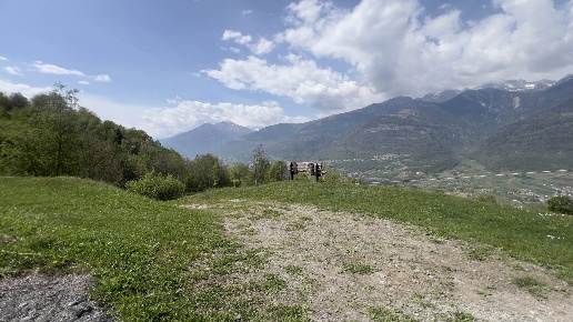 immagine annuncio 13 di 15