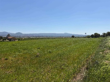 Foto Terreno agricolo in strada Castiglione, Viterbo Monterazzano di 489 m²