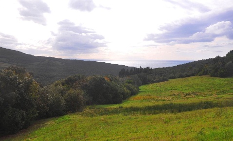 Foto Terreno agricolo in località Sasso Grosso, Rosignano Marittimo