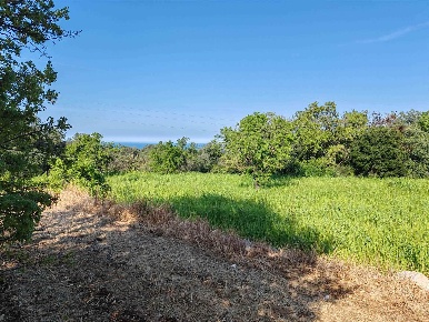 Foto Terreno edificabile a Monopoli di 4200 m² in vendita