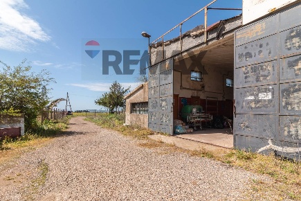 Foto Locale commerciale in strada statale 312 castrense, Cellere di 138 m²